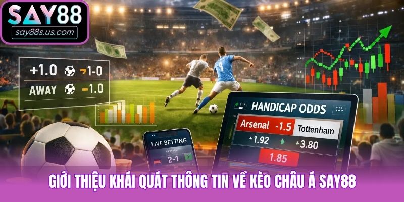 Giới thiệu khái quát thông tin về kèo châu Á Say88